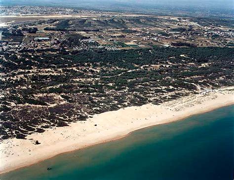 crusing elche|Playa El Rebollo en Elche (Alicante), playa gay